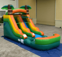 Tropical20Water20Slide 1712424752 12ft Slides